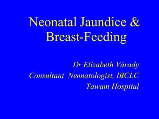 Neonatal Jaundice &  Breast-Feeding Dr Elizabeth V á rady Consultant  Neonatologist, IBCLC Tawam Hospital 