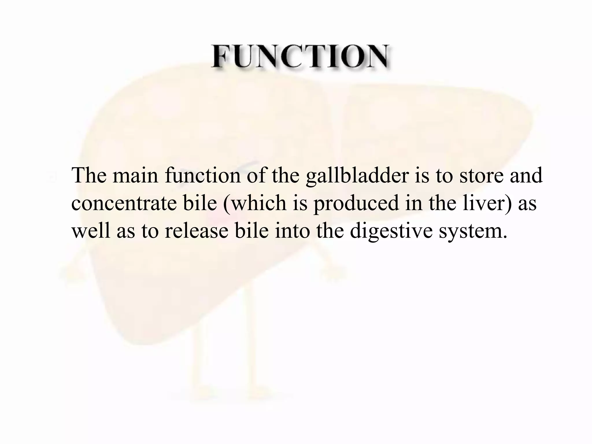  The main function of the gallbladder is to store and
concentrate bile (which is produced in the liver) as
well as to release bile into the digestive system.
 