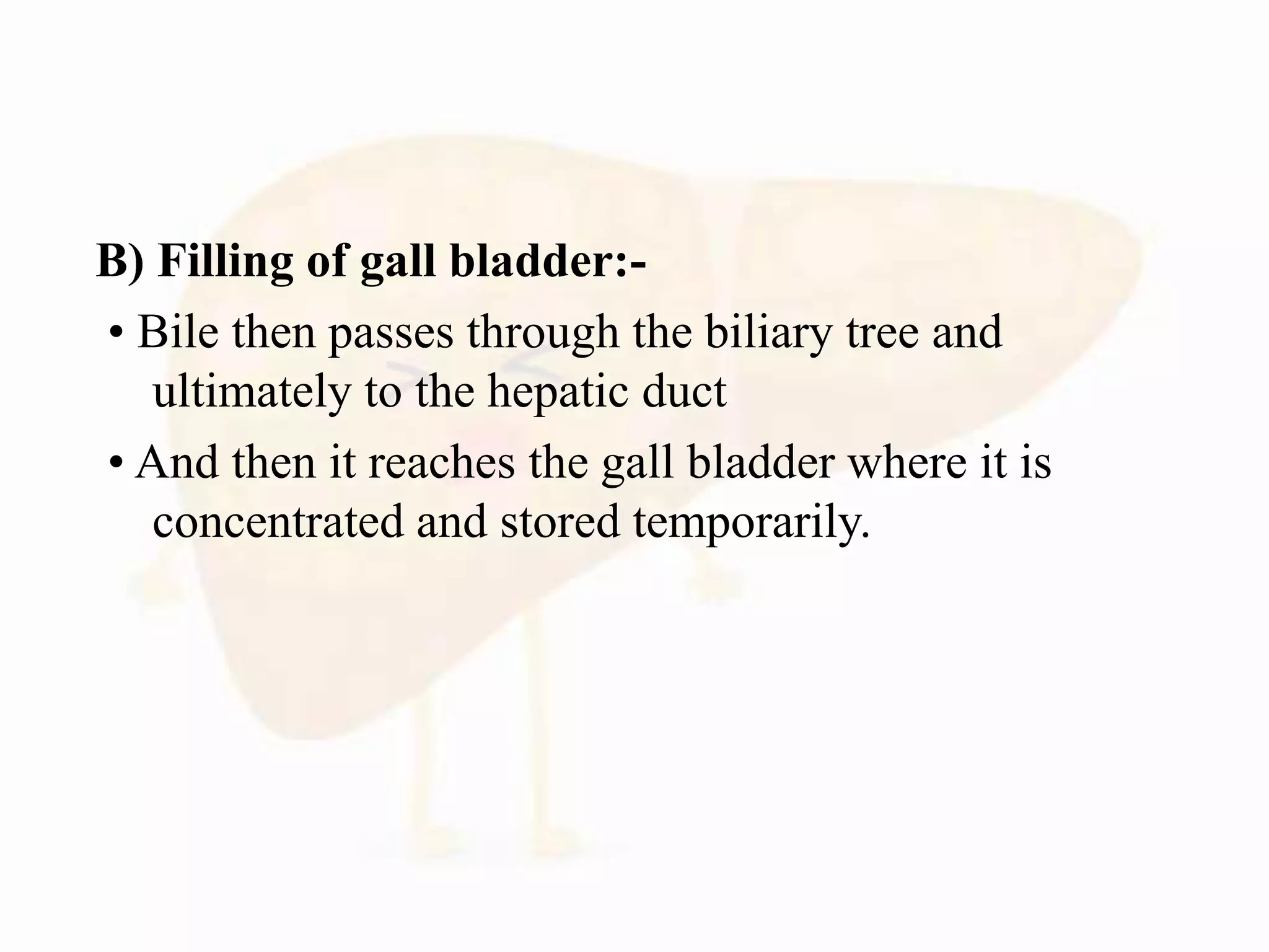 B) Filling of gall bladder:-
• Bile then passes through the biliary tree and
ultimately to the hepatic duct
• And then it reaches the gall bladder where it is
concentrated and stored temporarily.
 