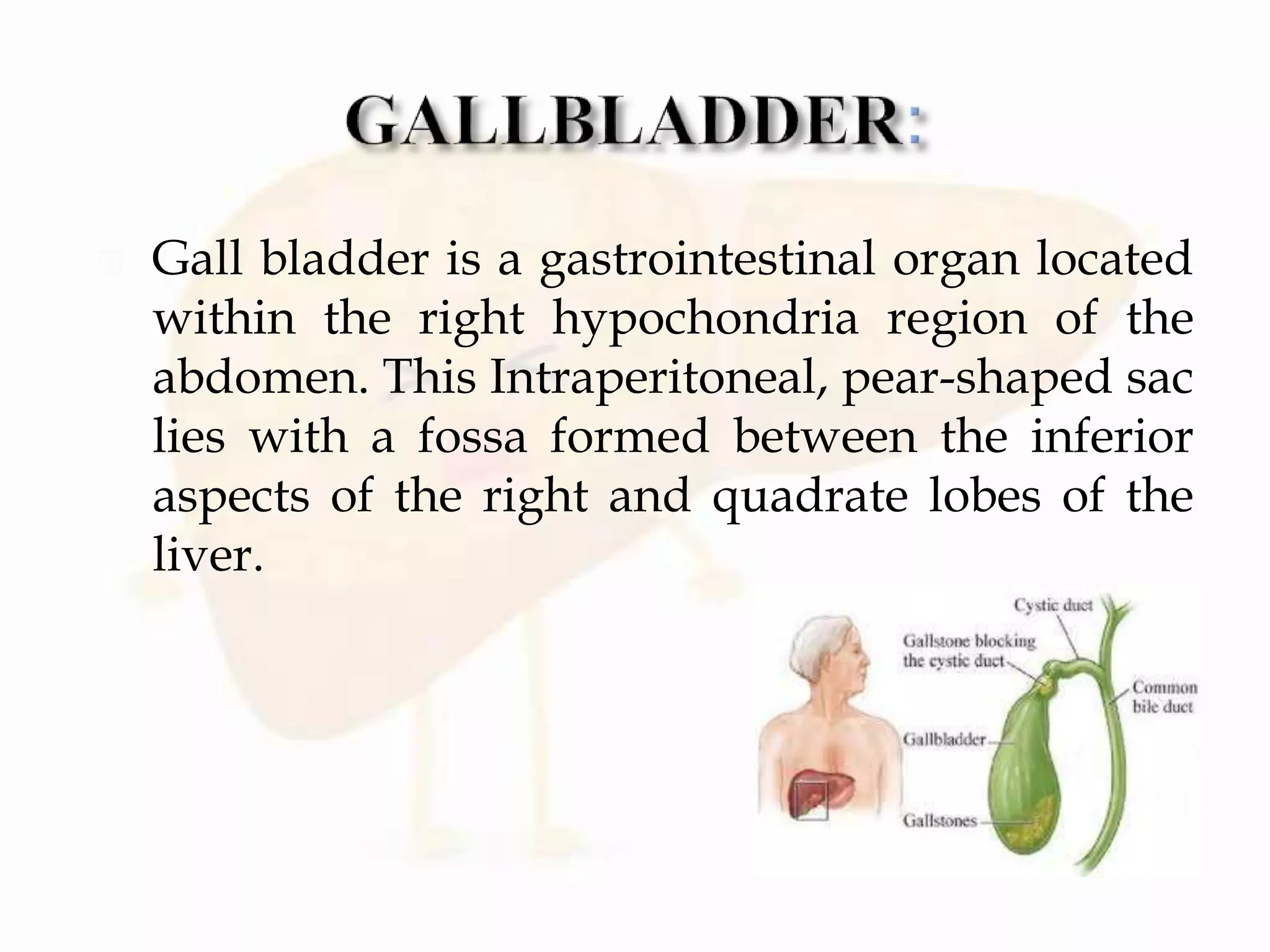  Gall bladder is a gastrointestinal organ located
within the right hypochondria region of the
abdomen. This Intraperitoneal, pear-shaped sac
lies with a fossa formed between the inferior
aspects of the right and quadrate lobes of the
liver.
 