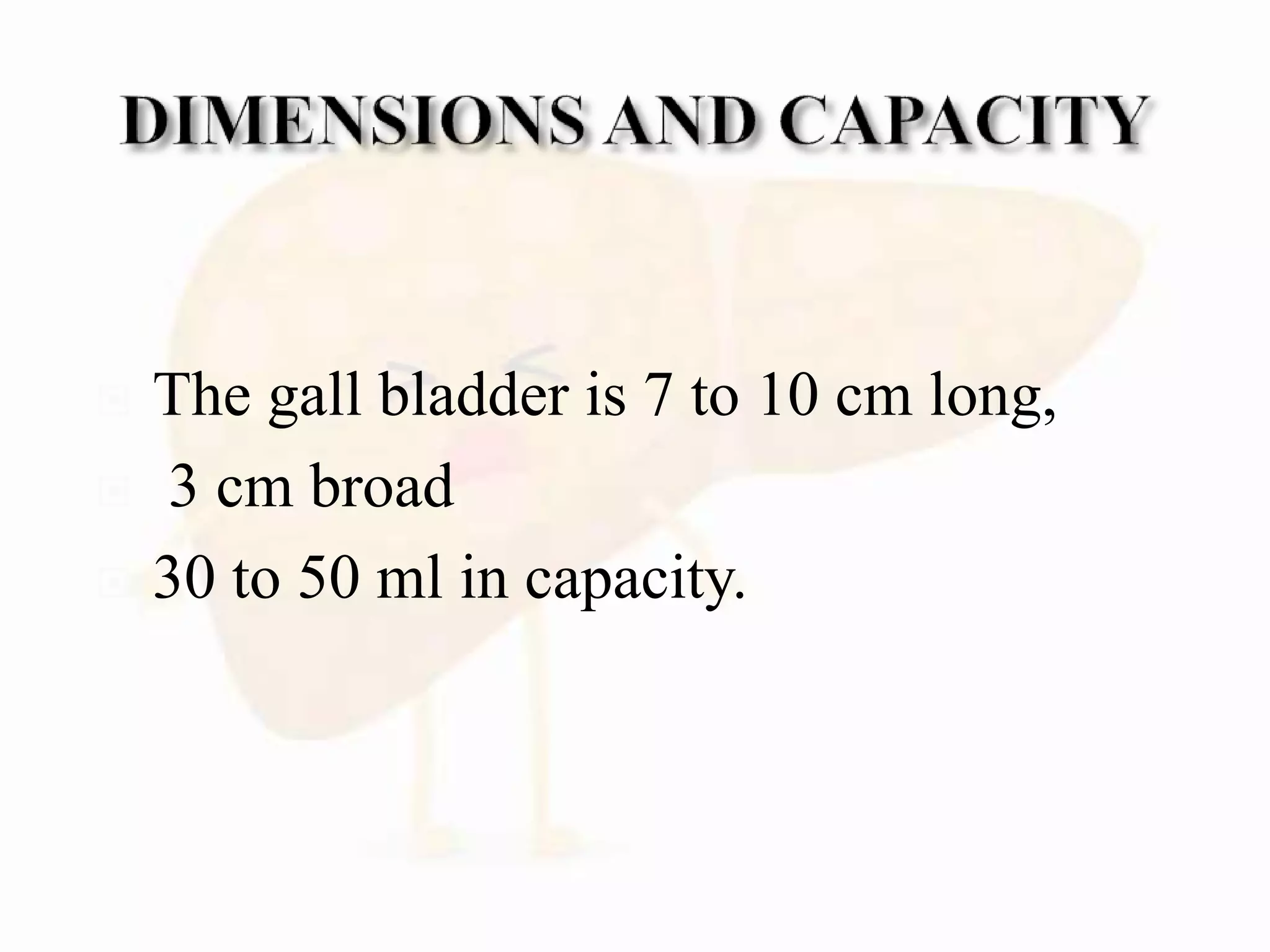  The gall bladder is 7 to 10 cm long,
 3 cm broad
 30 to 50 ml in capacity.
 