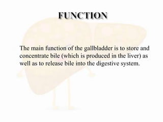  The main function of the gallbladder is to store and
concentrate bile (which is produced in the liver) as
well as to release bile into the digestive system.
 