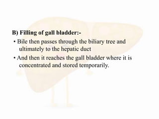 B) Filling of gall bladder:-
• Bile then passes through the biliary tree and
ultimately to the hepatic duct
• And then it reaches the gall bladder where it is
concentrated and stored temporarily.
 