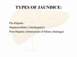  Pre-Hepatic
 Hepatocellular ( intrahepatic)
 Post-Hepatic (obstruction of biliary drainage)
 