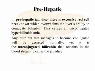  In pre-hepatic jaundice, there is excessive red cell
breakdown which overwhelms the liver’s ability to
conjugate bilirubin. This causes an unconjugated
hyperbilirubinemia.
 Any bilirubin that manages to become conjugated
will be excreted normally, yet it is
the unconjugated bilirubin that remains in the
blood stream to cause the jaundice.
 