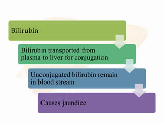 Bilirubin
Bilirubin transported from
plasma to liver for conjugation
Unconjugated bilirubin remain
in blood stream
Causes jaundice
 