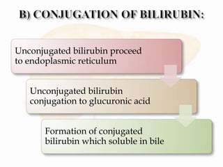 Unconjugated bilirubin proceed
to endoplasmic reticulum
Unconjugated bilirubin
conjugation to glucuronic acid
Formation of conjugated
bilirubin which soluble in bile
 