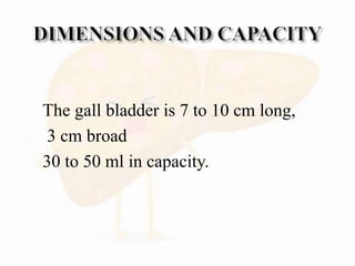  The gall bladder is 7 to 10 cm long,
 3 cm broad
 30 to 50 ml in capacity.
 