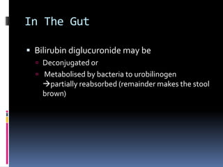 Source Of Bilirubin85% from old RBC , the rest  from  non haem proteins Hb is degraded to Haem   and Globin Iron is extracted from Haem  Rest is converted to bilirubin  Bilirubin travels to liver bound   to albumin