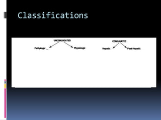 In The GutBilirubin diglucuronide may be  Deconjugated or Metabolised by bacteria to urobilinogenpartially reabsorbed (remainder makes the stool brown)