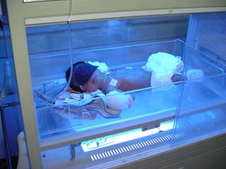 What workup/labs do you order