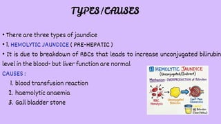 Comprehensive Overview of Jaundice: Types, Causes, Diagnosis, and ...