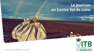 Anne-Laure CHAMBENOIT 15/12/2022
1
La jaunisse
en Centre Val de Loire
 