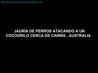 JAURÍA DE PERROS ATACANDO A UN
COCODRILO CERCA DE CAIRNS , AUSTRALIA .
http://Presentaciones-PowerPoint.com/http://Presentaciones-PowerPoint.com/
 