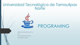 PROGRAMING
Alejandra Méndez De la Cruz
2°B
TSU: Sistemas Informáticos
Ing. Roberto García
Universidad Tecnológica de Tamaulipas
Norte
 
