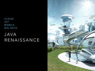 J AVA
R E N A I S S A N C E
C L O U D
I O T
M O B I L E
B I G D A TA
 