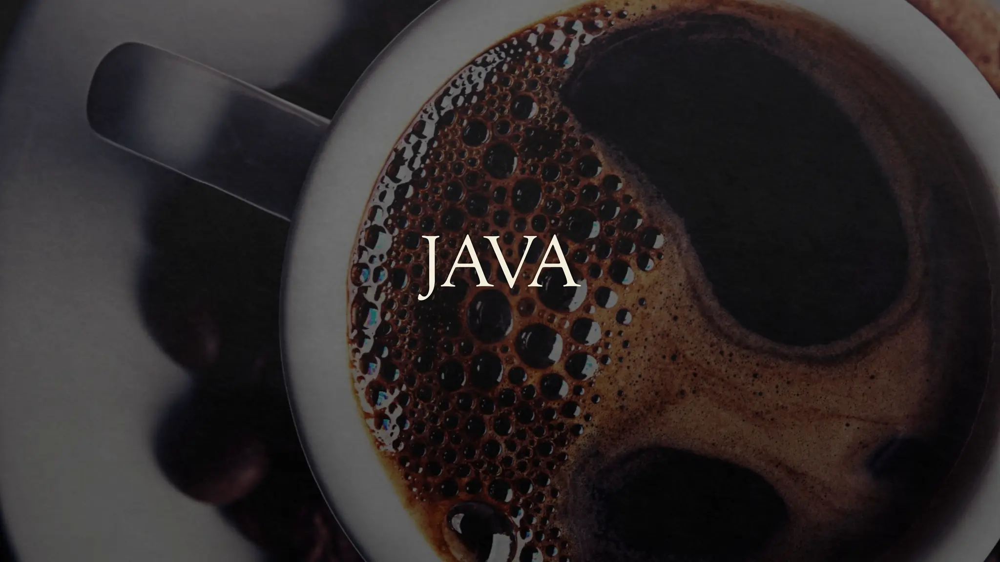 JAVA
 