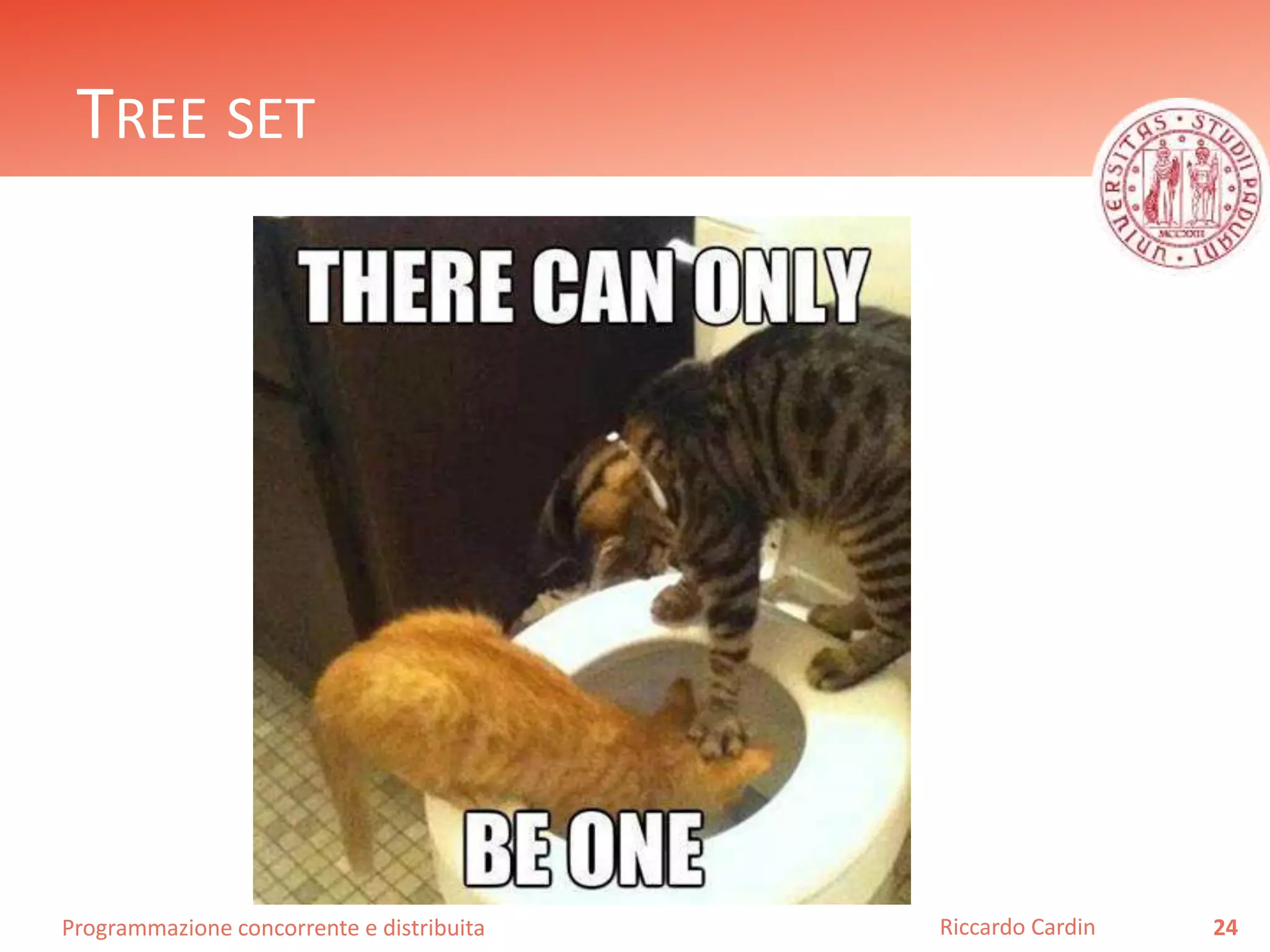 Programmazione concorrente e distribuita
TREE SET
24Riccardo Cardin
 