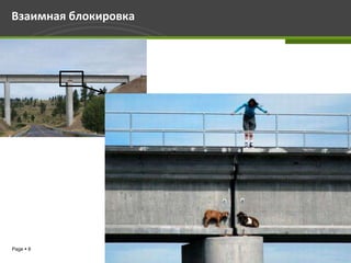Взаимная блокировка




Page  8
 