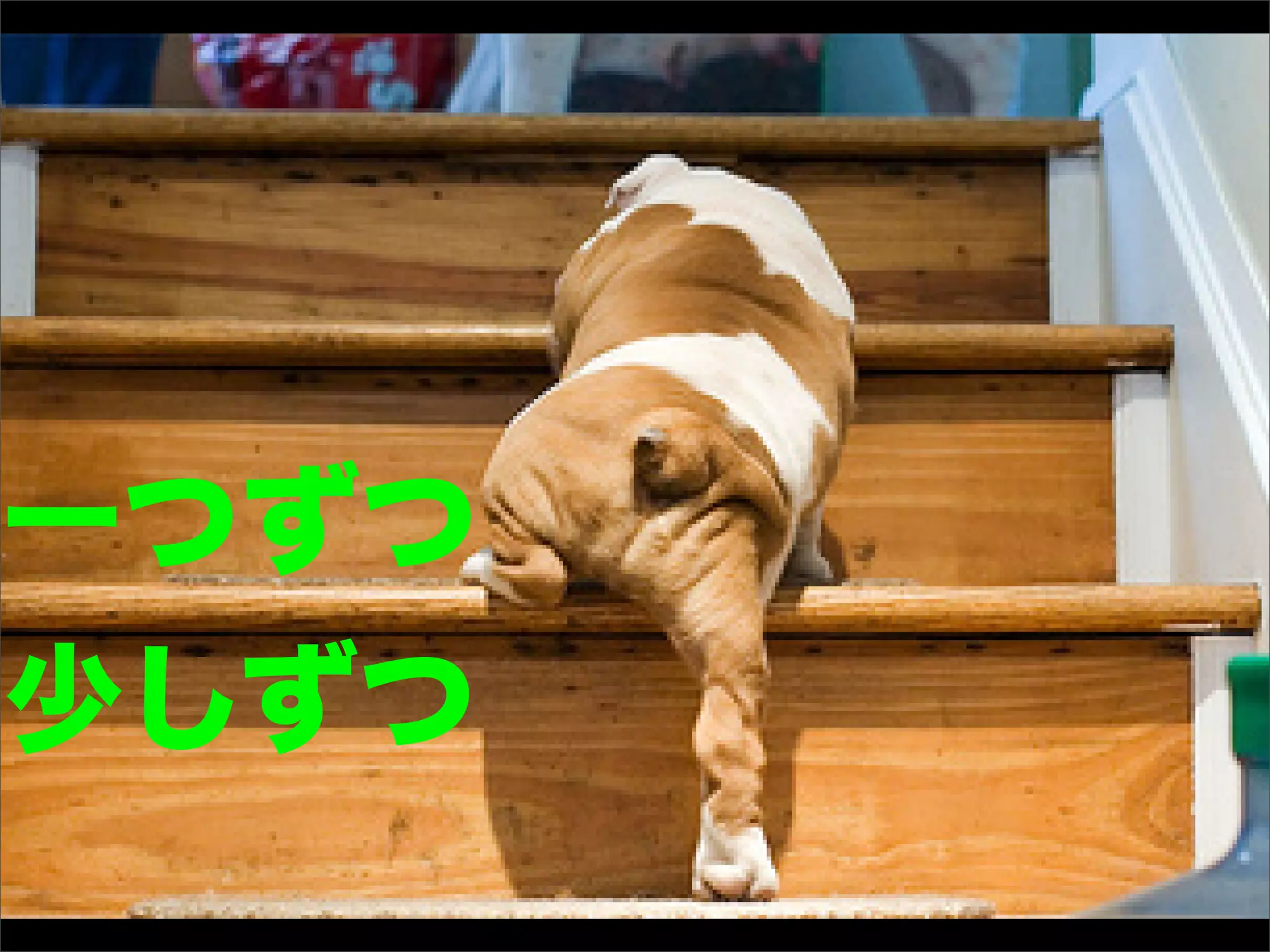 一つずつ
少しずつ
 