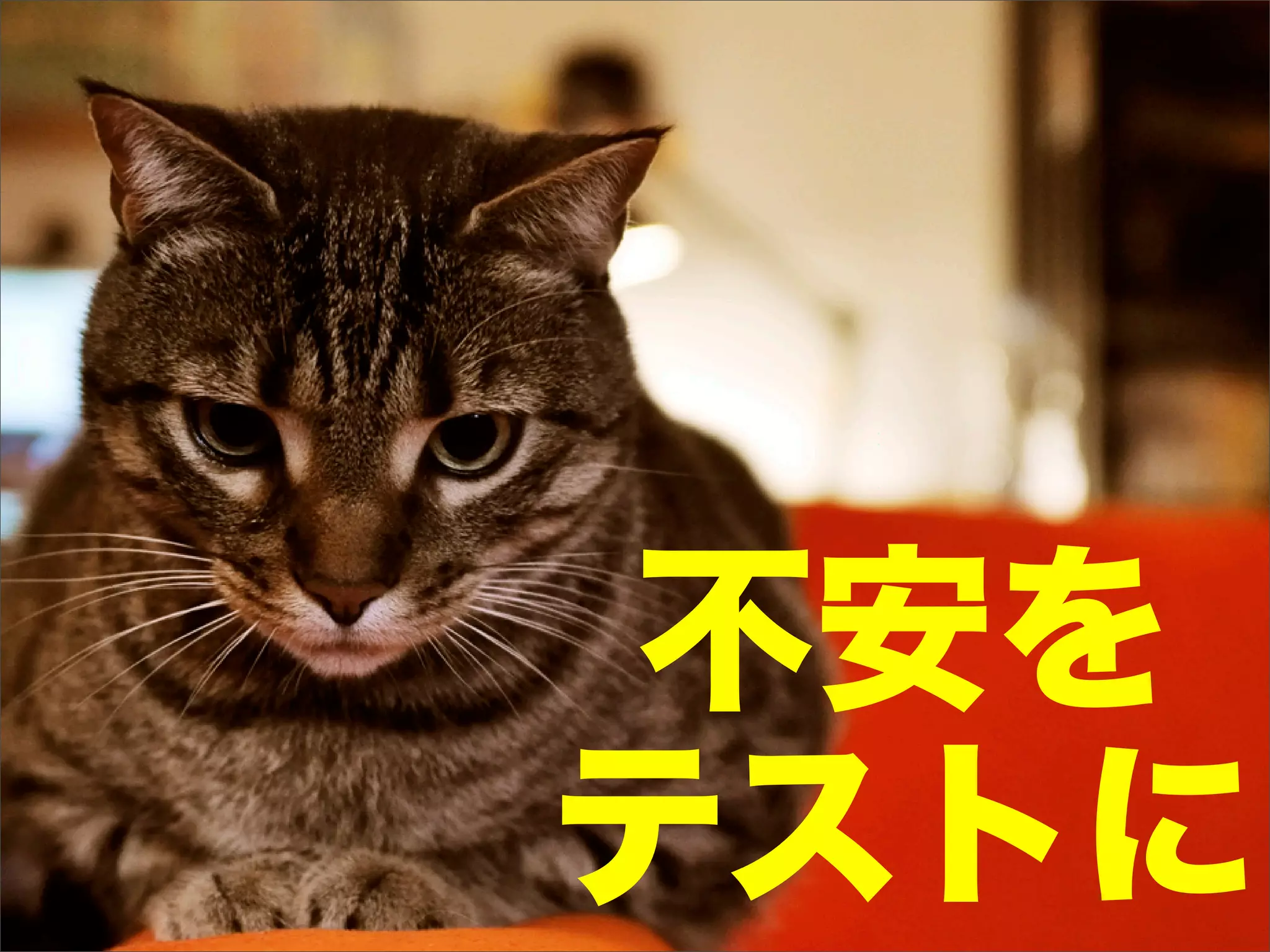 不安を
テストに
 