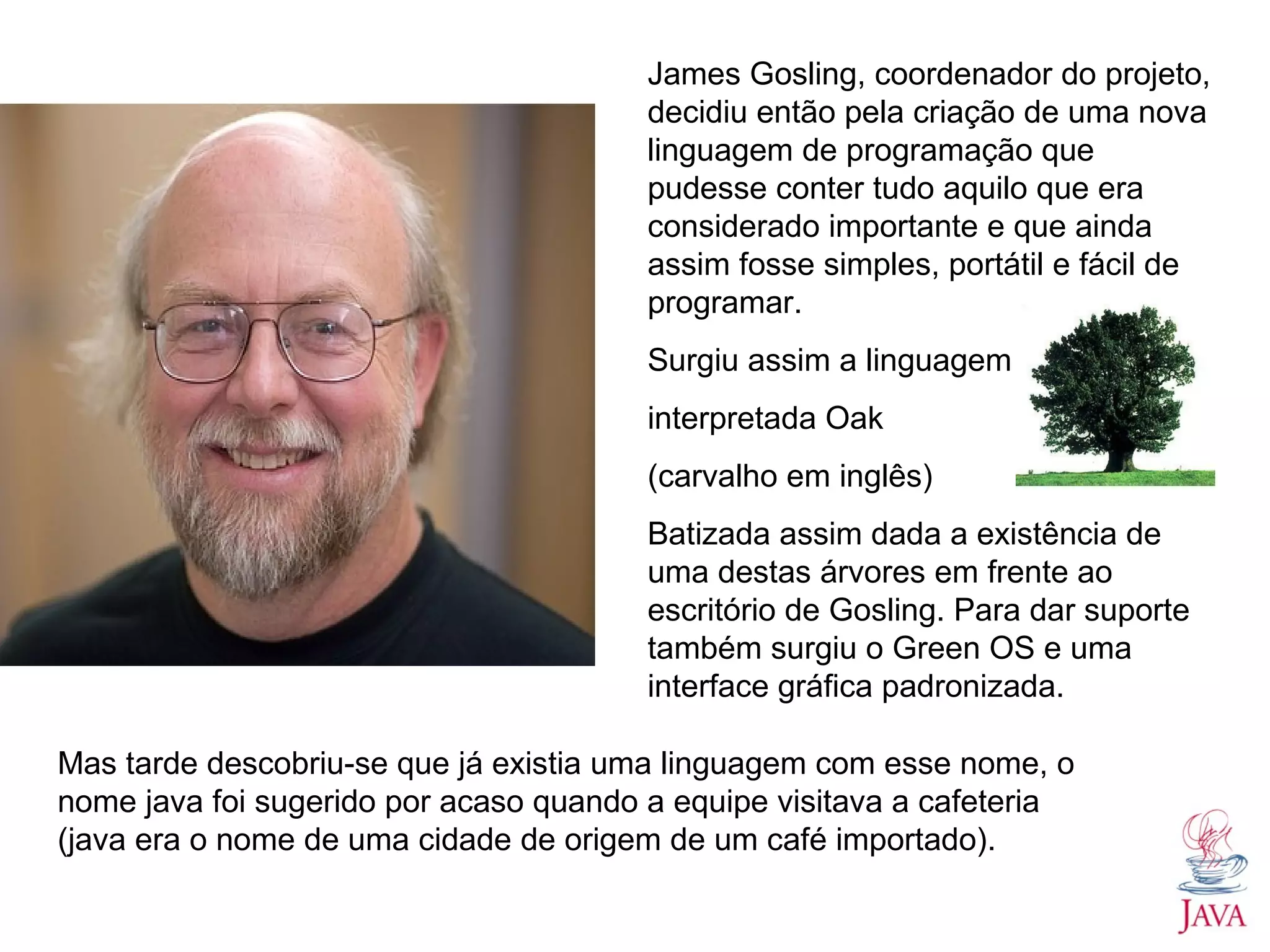 James Gosling, coordenador do projeto, decidiu então pela criação de uma nova linguagem de programação que pudesse conter tudo aquilo que era considerado importante e que ainda assim fosse simples, portátil e fácil de programar. Surgiu assim a linguagem interpretada Oak (carvalho em inglês) Batizada assim dada a existência de uma destas árvores em frente ao escritório de Gosling. Para dar suporte também surgiu o Green OS e uma interface gráfica padronizada. Mas tarde descobriu-se que já existia uma linguagem com esse nome, o nome java foi sugerido por acaso quando a equipe visitava a cafeteria (java era o nome de uma cidade de origem de um café importado). 