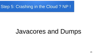 15
Step 5: Crashing in the Cloud ? NP !
Javacores and Dumps
 