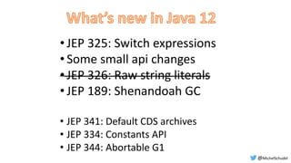 • JEP 325: Switch expressions
• Some small api changes
• JEP 326: Raw string literals
• JEP 189: Shenandoah GC
• JEP 341: Default CDS archives
• JEP 334: Constants API
• JEP 344: Abortable G1
@MichelSchudel
 