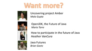 Uncovering project Amber
Mala Gupta
Java Futures
Brian Goetz
OpenJDK, the Future of Java
Mario Torre
How to participate in the future of Java
Heather VanCura
 