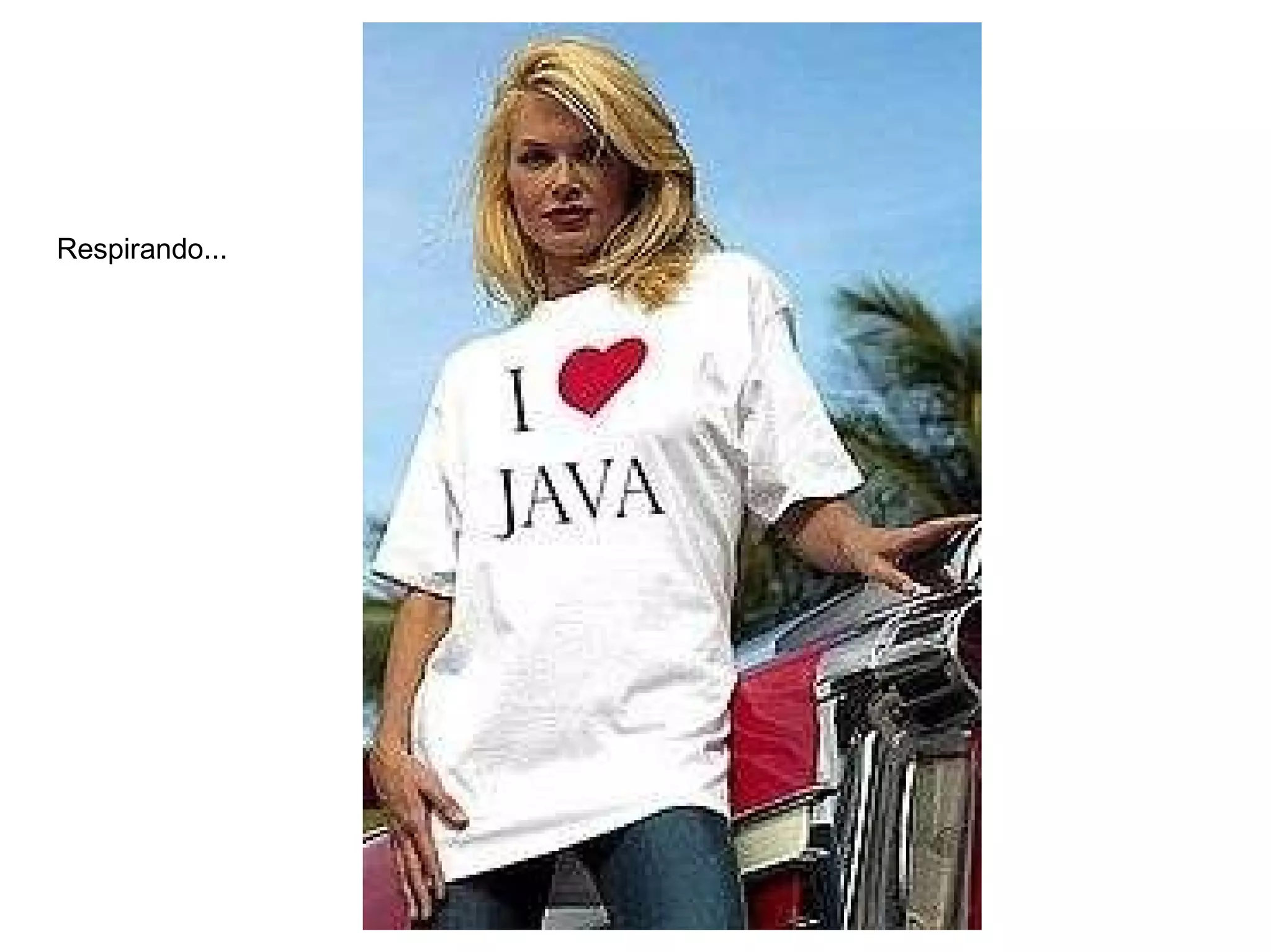 Java É Orientada a Objetos; 