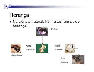 Herança
Na ciência natural, há muitas formas de
herança.
Felino
Jaguatirica
Gato
Alpinista
Gato
Boemio
Gato
Siamês
 