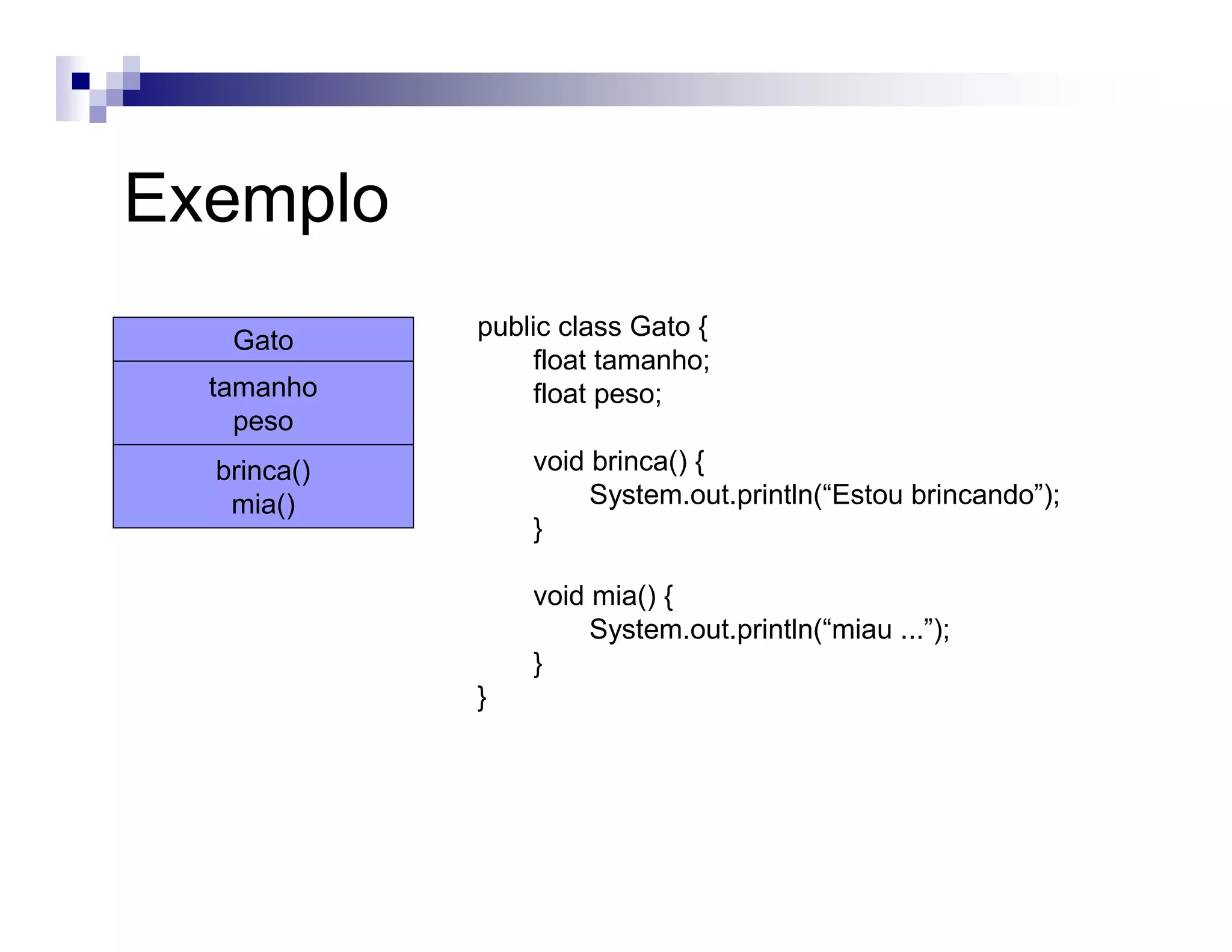 Exemplo
public class Gato {
float tamanho;
float peso;
void brinca() {
System.out.println(“Estou brincando”);
}
void mia() {
System.out.println(“miau ...”);
}
}
Gato
brinca()
mia()
tamanho
peso
 