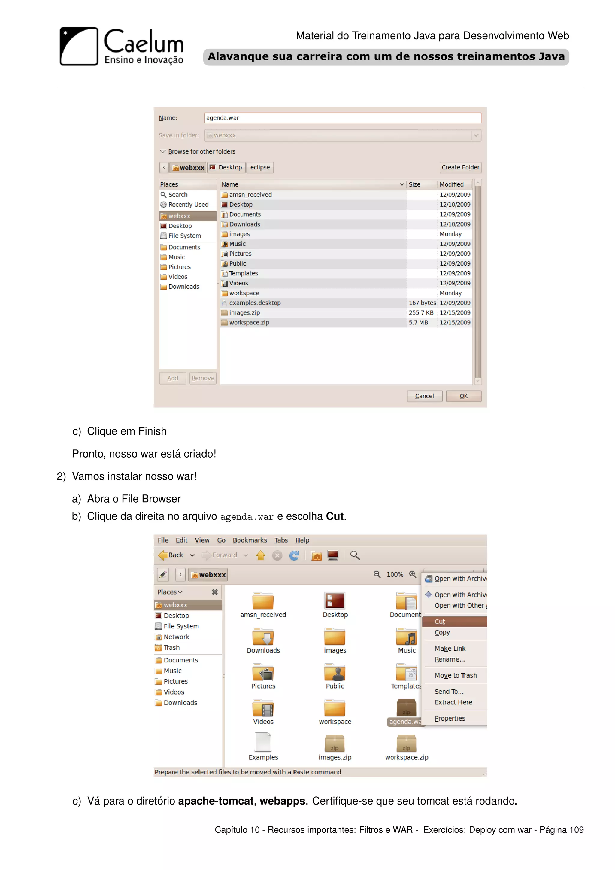 Material do Treinamento Java para Desenvolvimento Web




   c) Clique em Finish

   Pronto, nosso war está criado!

2) Vamos instalar nosso war!

   a) Abra o File Browser
   b) Clique da direita no arquivo agenda.war e escolha Cut.




   c) Vá para o diretório apache-tomcat, webapps. Certiﬁque-se que seu tomcat está rodando.

                                Capítulo 10 - Recursos importantes: Filtros e WAR - Exercícios: Deploy com war - Página 109
 