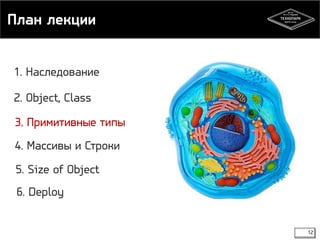 План лекции 
12 
1. Наследование 
2. Object, Class 
3. Примитивные типы 
4. Массивы и Строки 
5. Size of Object 
6. Deploy 
 