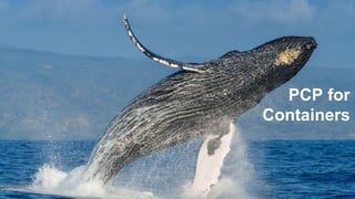 © 2017 Creative Arts & Technologies and others. All rights reserved.#Monitoring #Performance
PCP for
Containers
 