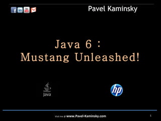 Visit me @  www.Pavel-Kaminsky.com Java 6 :  Mustang Unleashed! 