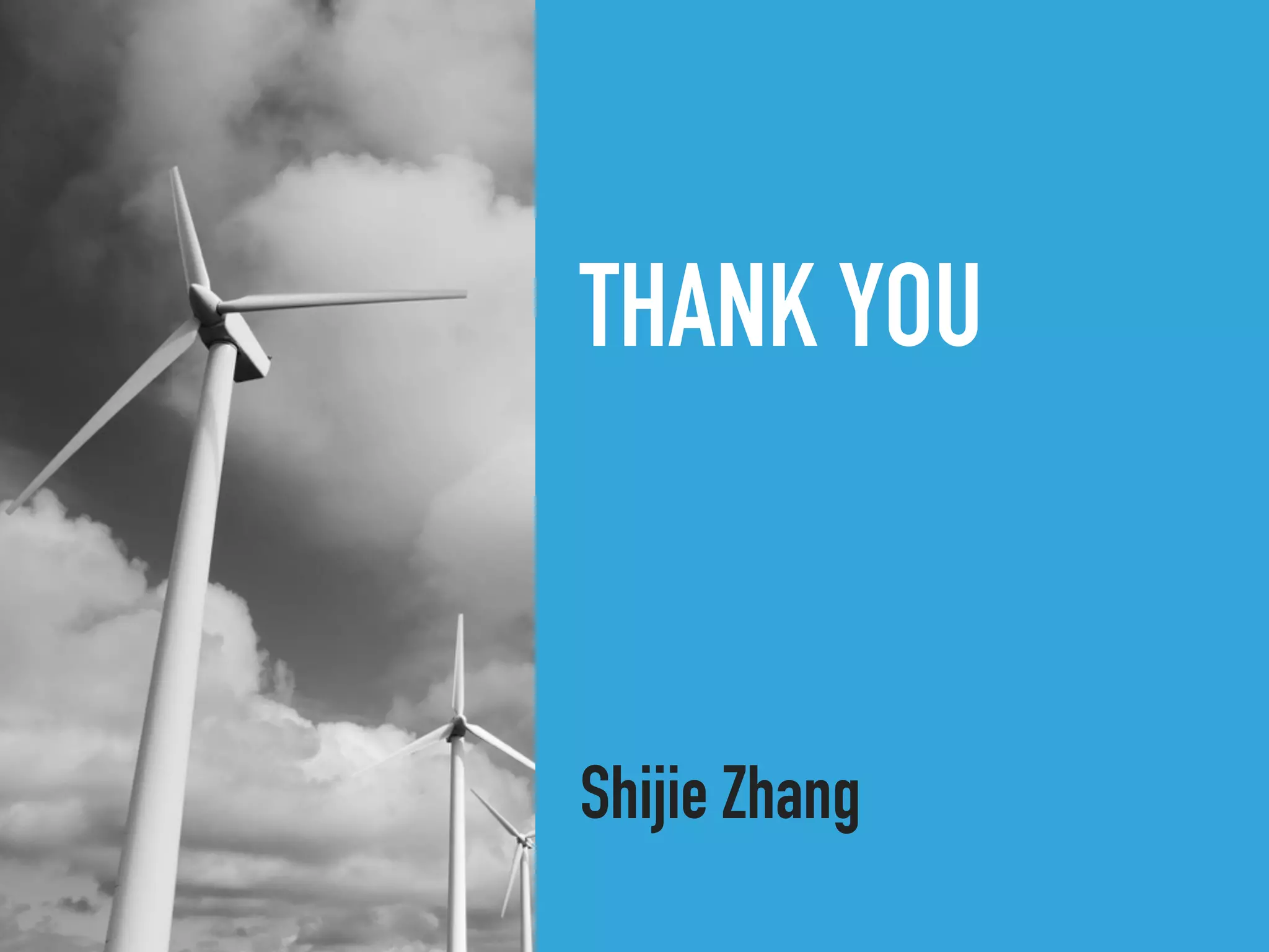 THANK YOU
Shijie Zhang
 