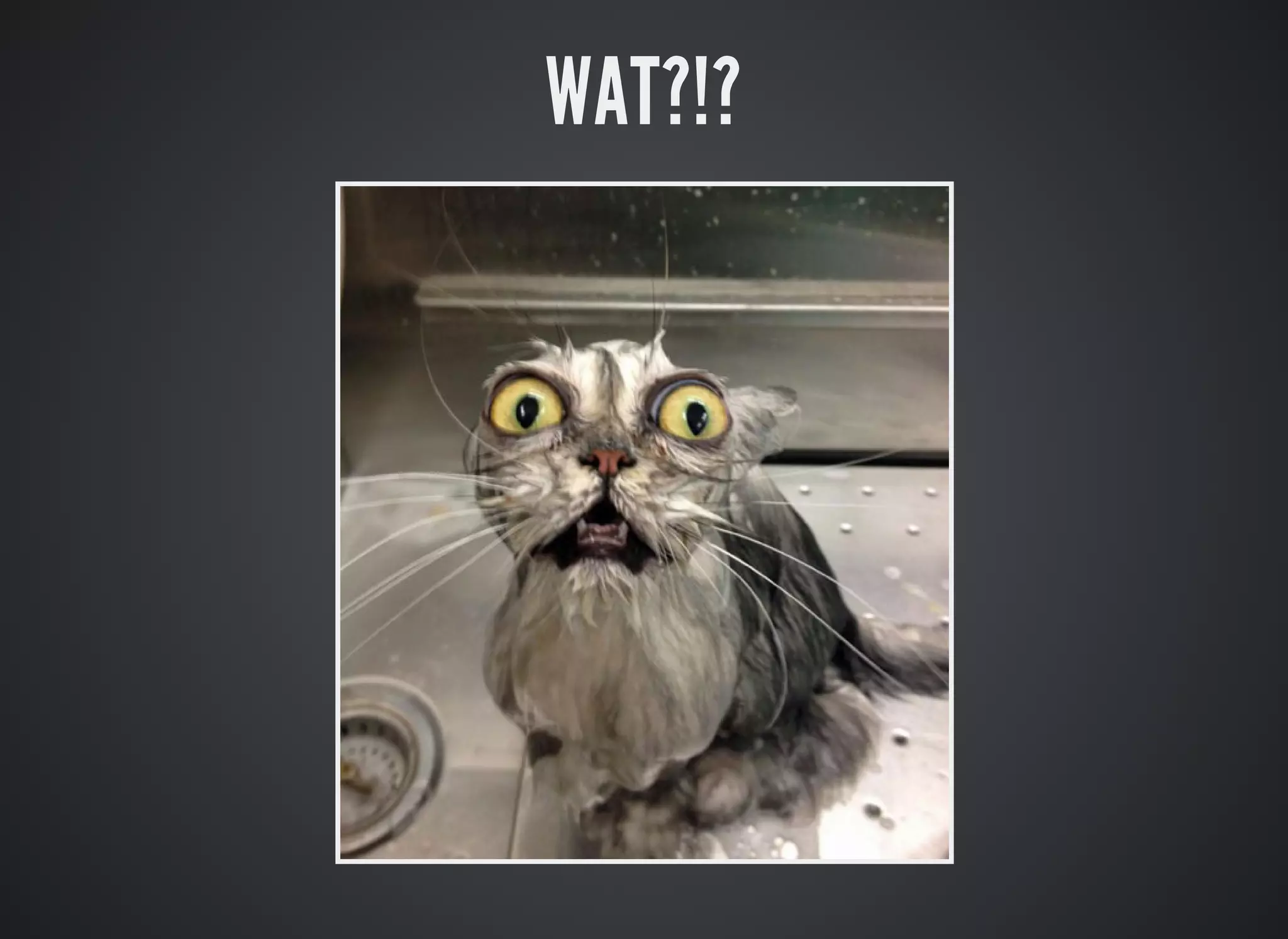 WAT?!?
 