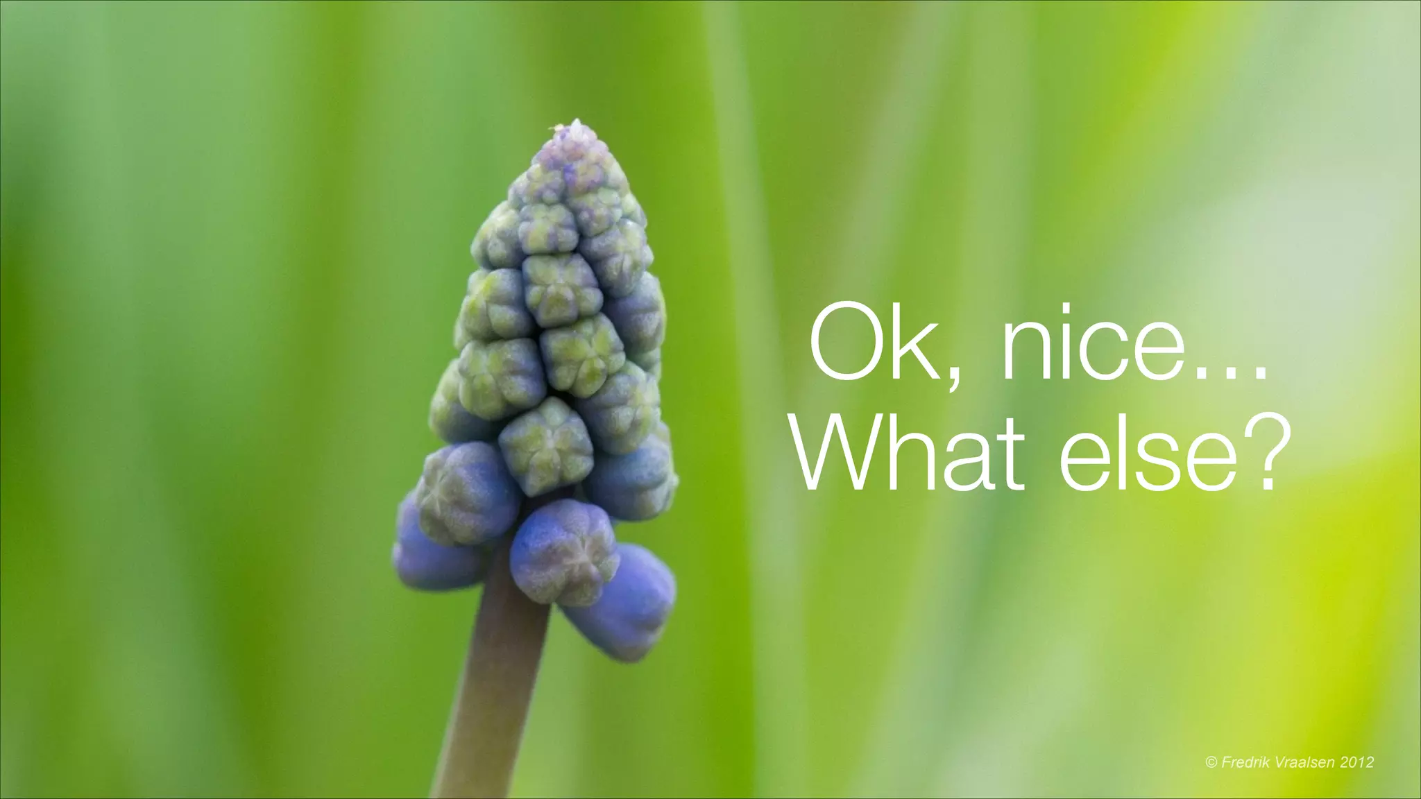 Ok, nice...
What else?
© Fredrik Vraalsen 2012
 