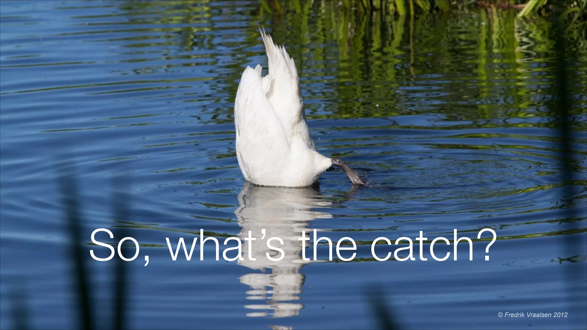 So, what’s the catch?
© Fredrik Vraalsen 2012
 