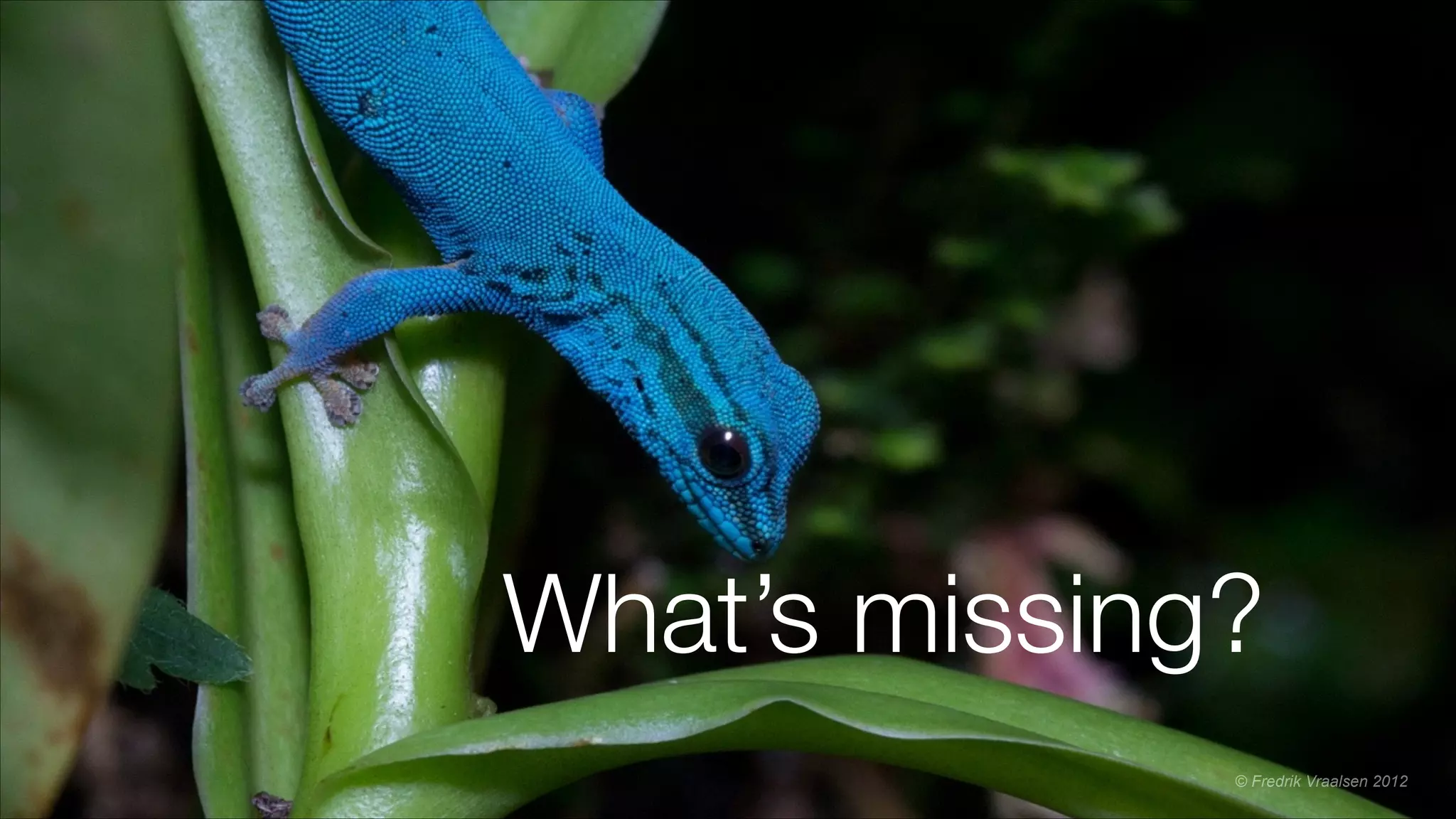 What’s missing?
© Fredrik Vraalsen 2012
 