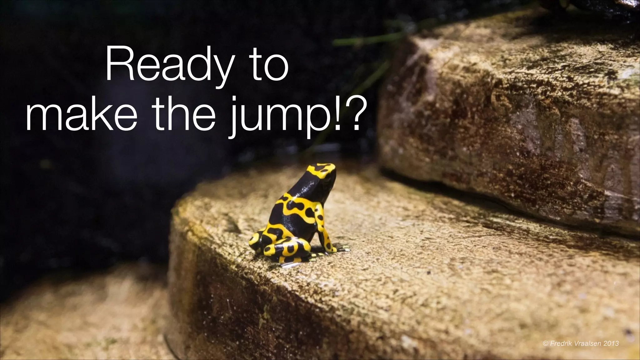 Ready to
make the jump!?
© Fredrik Vraalsen 2013
 