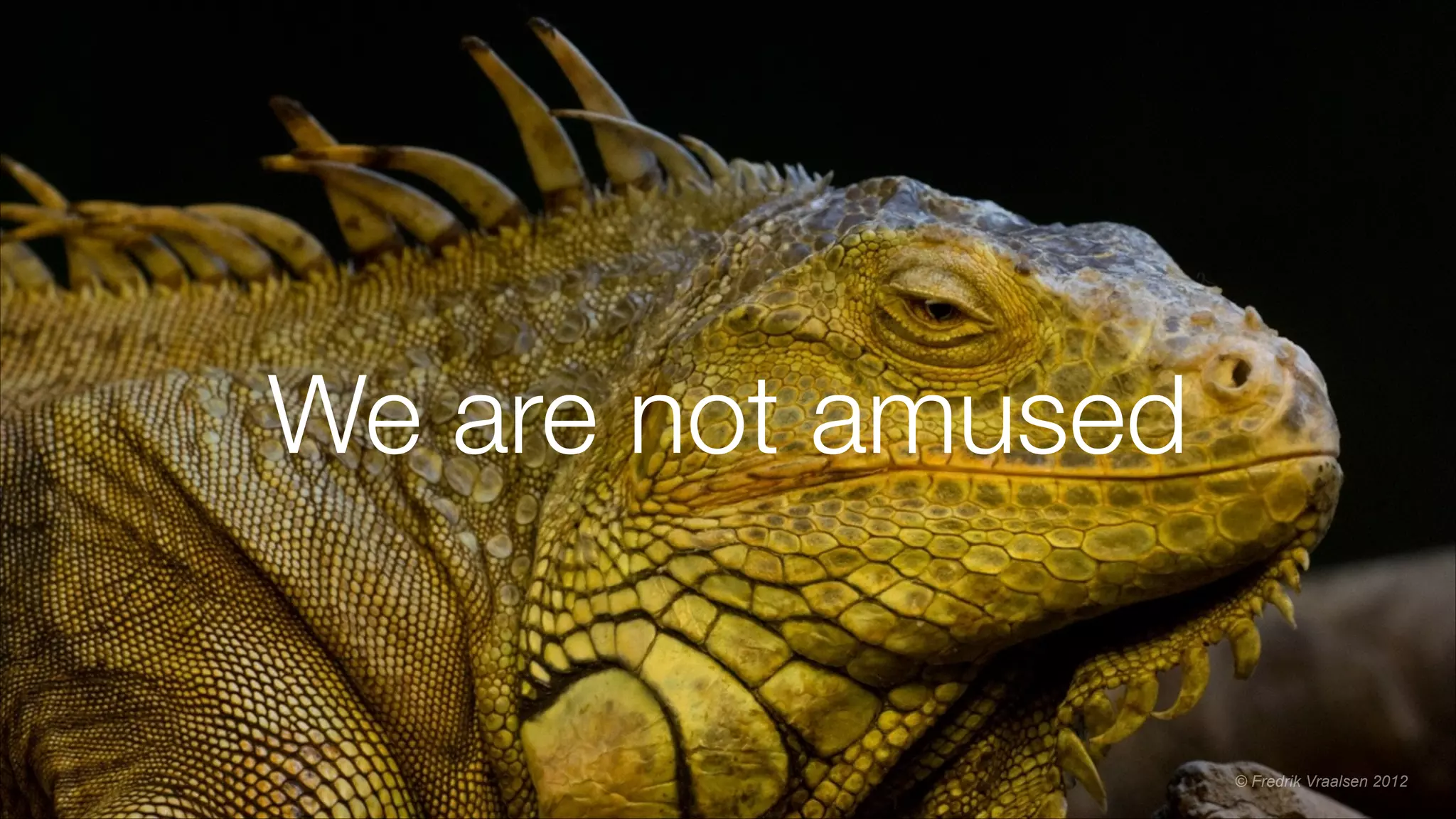 We are not amused
© Fredrik Vraalsen 2012
 