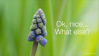 Ok, nice...
What else?
© Fredrik Vraalsen 2012
 
