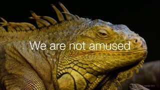 We are not amused
© Fredrik Vraalsen 2012
 