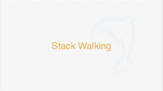 Stack Walking
 