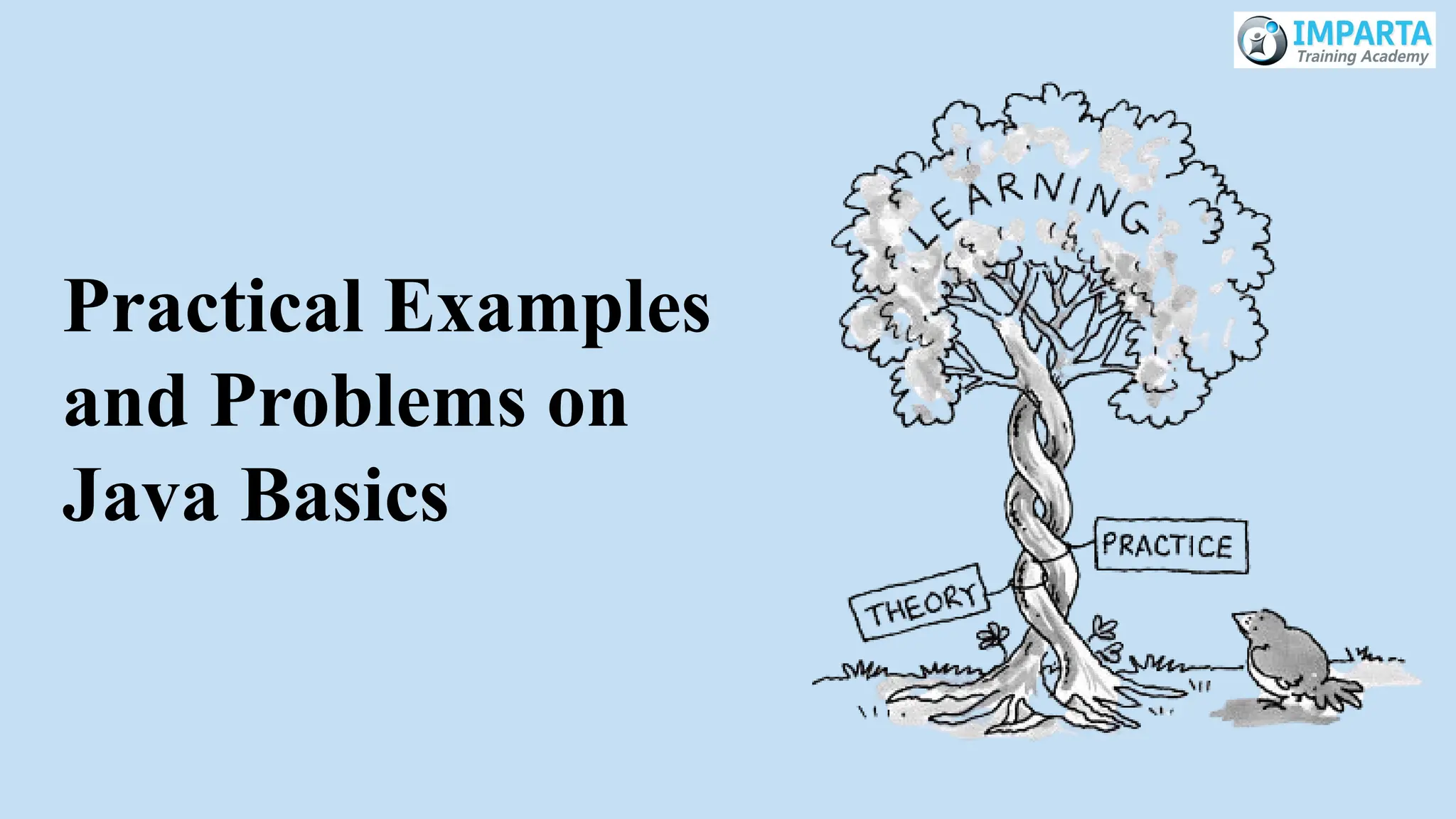 Practical Examples
and Problems on
Java Basics
 