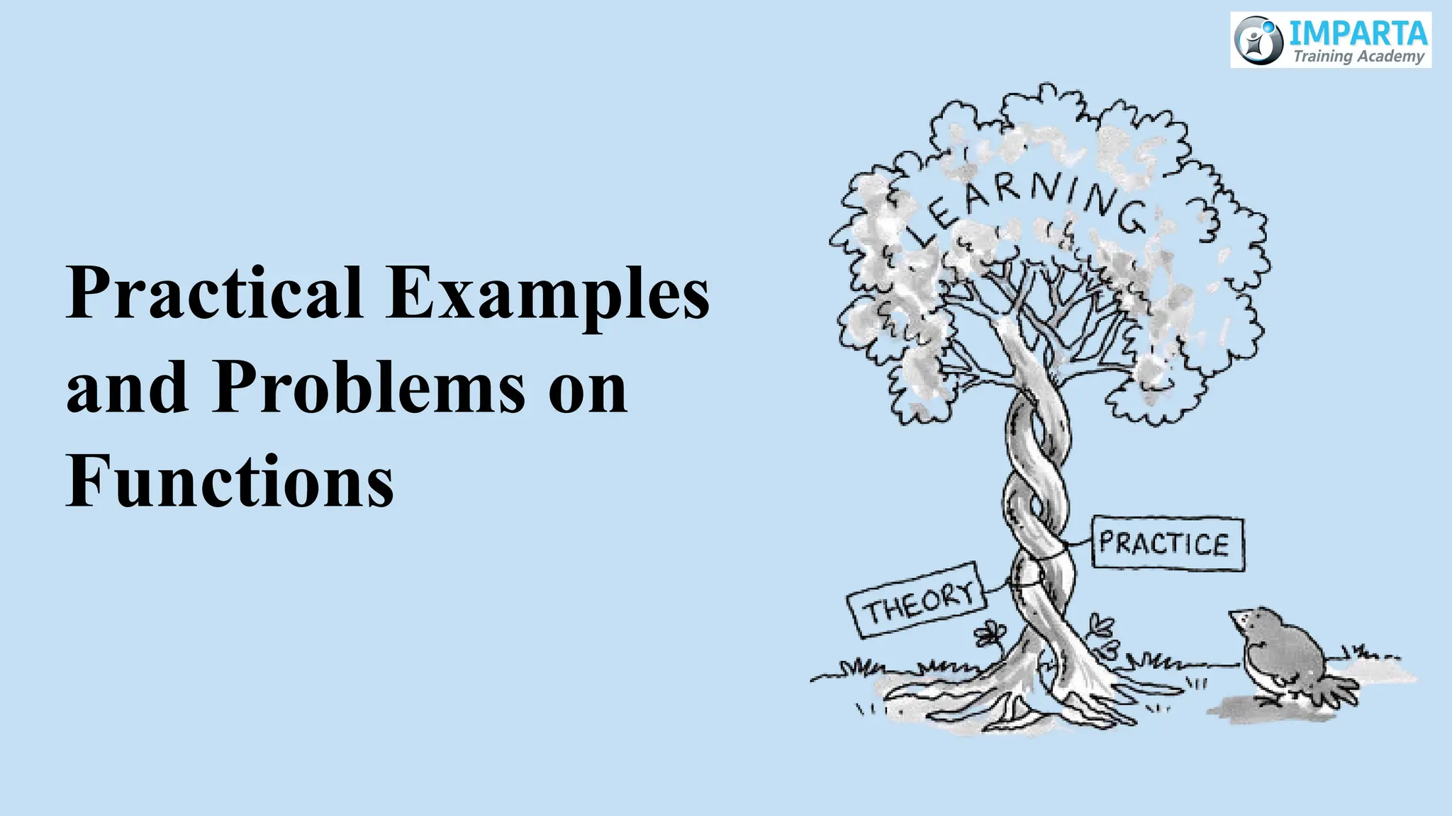 Practical Examples
and Problems on
Functions
 
