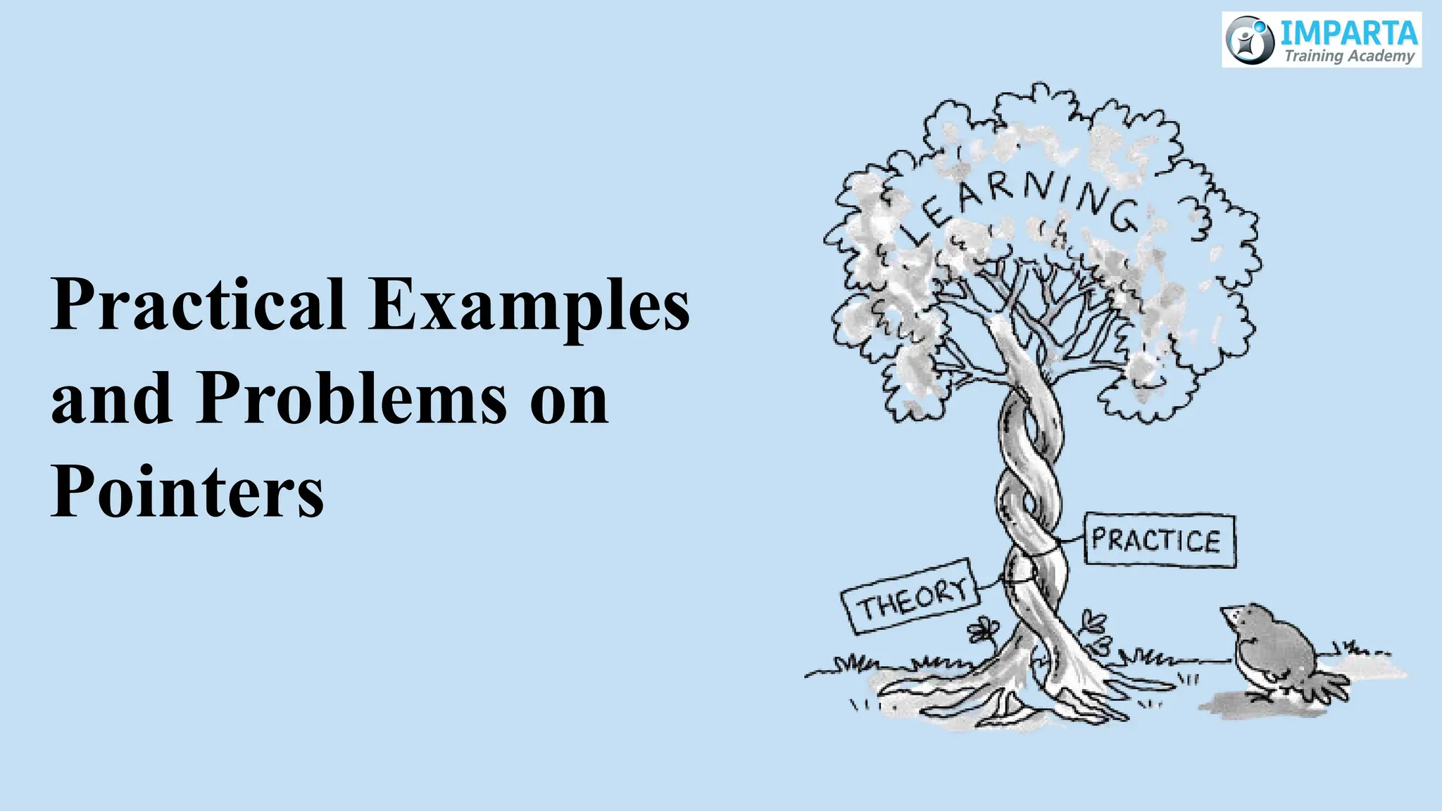 Practical Examples
and Problems on
Pointers
 