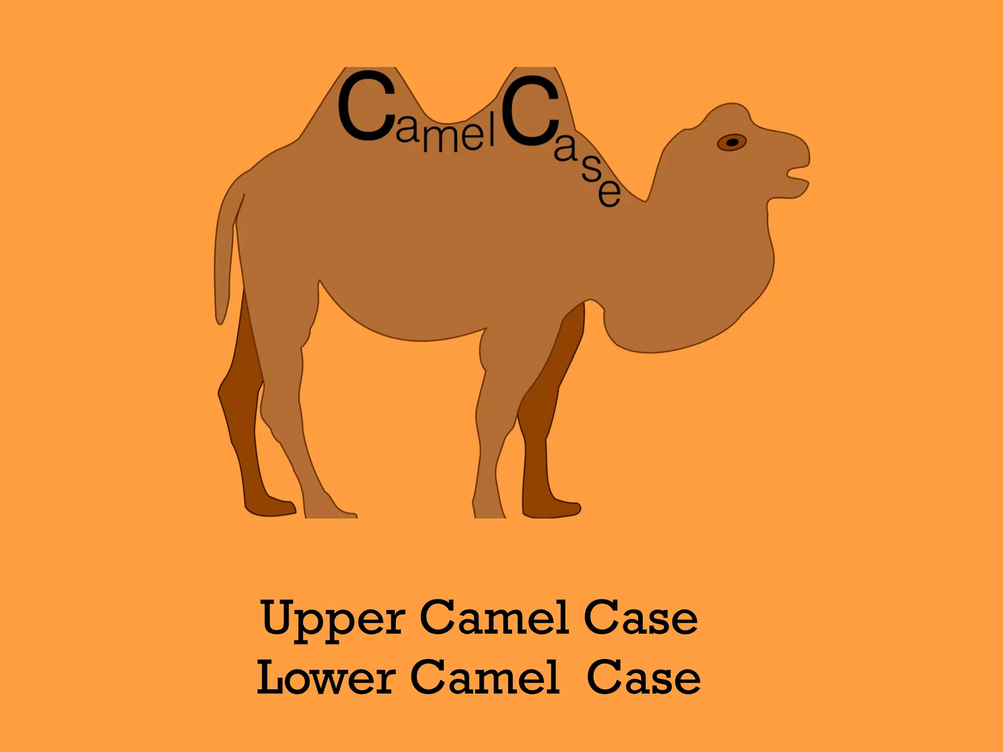 Upper Camel Case
Lower Camel Case
 